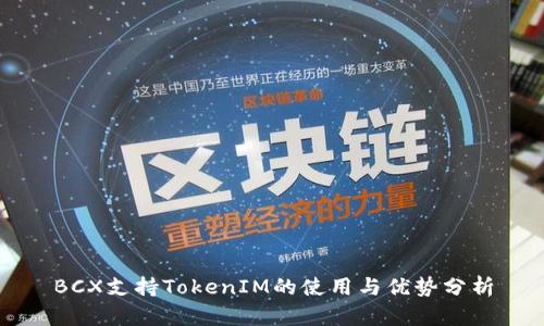 BCX支持TokenIM的使用与优势分析