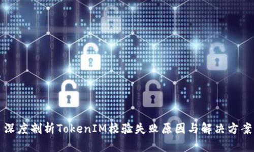 深度剖析TokenIM校验失败原因与解决方案