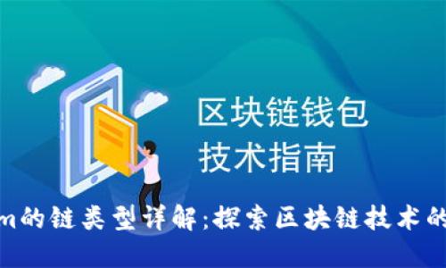 Tokenim的链类型详解：探索区块链技术的多样性