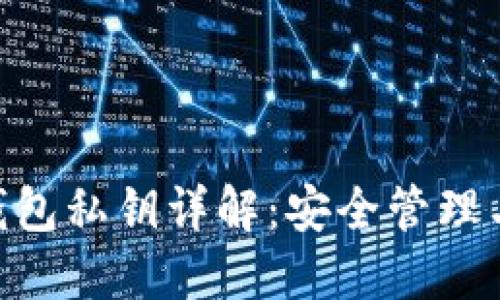 Tokenim钱包私钥详解：安全管理与使用指南