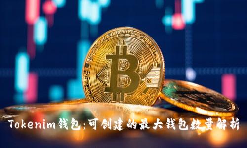 Tokenim钱包：可创建的最大钱包数量解析