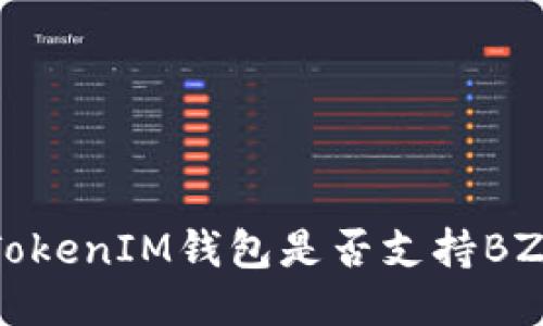 TokenTokenIM钱包是否支持BZZ交易？