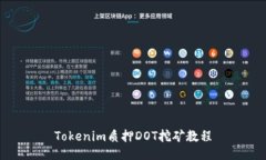 Tokenim质押DOT挖矿教程