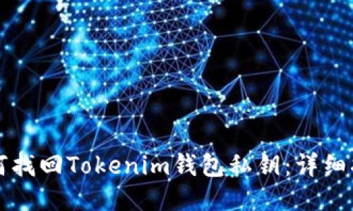 如何找回Tokenim钱包私钥：详细指南