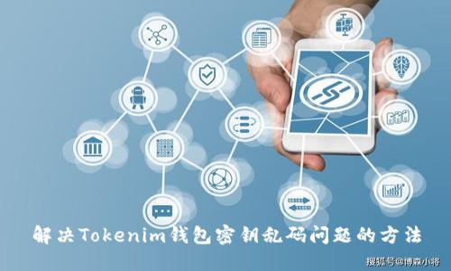 解决Tokenim钱包密钥乱码问题的方法