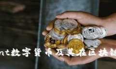: 深入了解Mint数字货币及