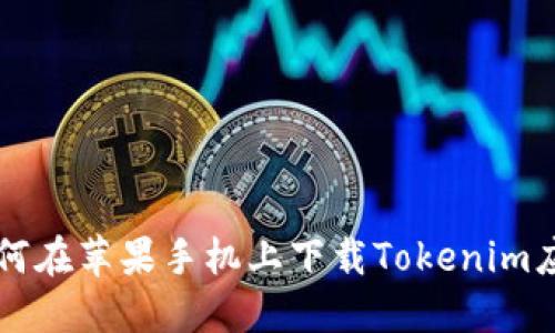 如何在苹果手机上下载Tokenim应用