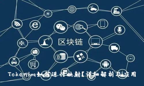 Tokenim如何进行映射？详细解析及应用