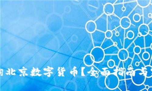 如何查询北京数字货币？全面指南与实用技巧