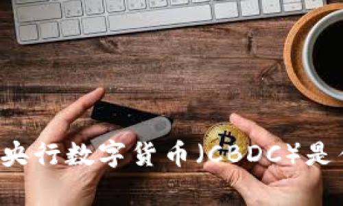 国家央行数字货币（CBDC）是什么？