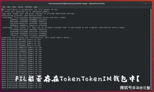 FIL能否存在TokenTokenIM钱包中？