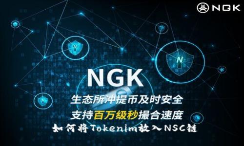  如何将Tokenim放入NSC链