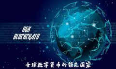 全球数字货币的领先国家