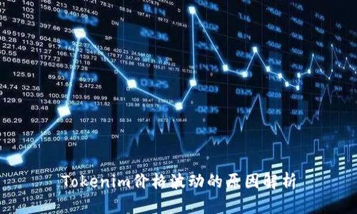 Tokenim价格波动的原因解析