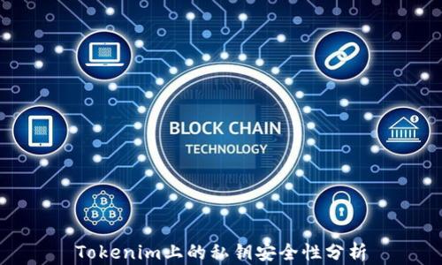 
Tokenim上的私钥安全性分析