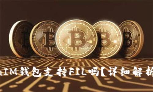TokenTokenIM钱包支持FIL吗？详细解析与使用指南