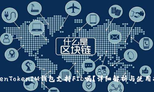 TokenTokenIM钱包支持FIL吗？详细解析与使用指南