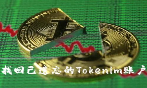 如何找回已遗忘的Tokenim账户信息
