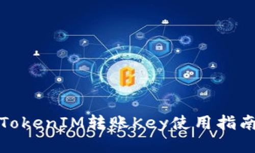 TokenIM转账Key使用指南