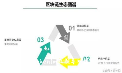 如何将Tokenim私钥导入数字钱包