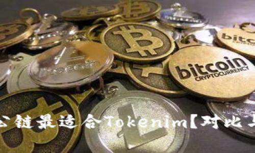 哪个公链最适合Tokenim？对比与分析