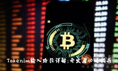 Tokenim输入路径详解：开发者必看指南