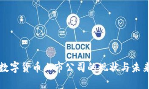 贵州数字货币上市公司的现状与未来发展