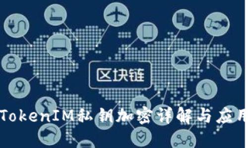 TokenIM私钥加密详解与应用