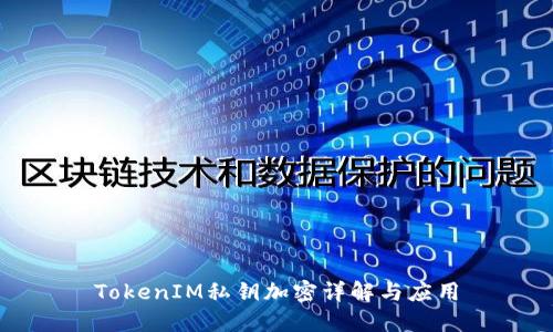 TokenIM私钥加密详解与应用