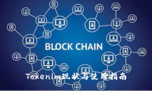 Tokenim现状与使用指南