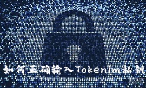 如何正确输入Tokenim私钥