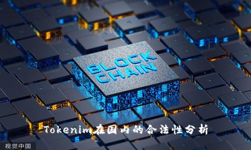 Tokenim在国内的合法性分析