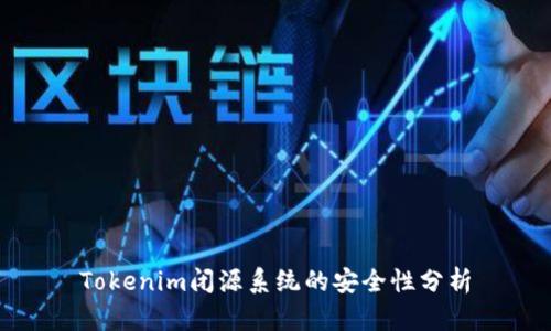 Tokenim闭源系统的安全性分析