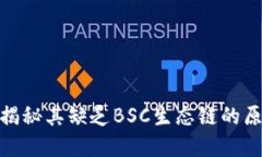 Tokenim——揭秘其缺乏BSC生